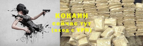 mdpv Протвино