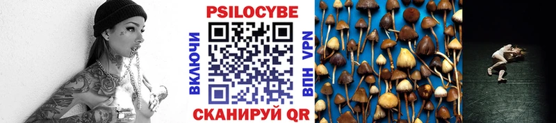 Псилоцибиновые грибы GOLDEN TEACHER  Купить закладки  Валуйки 